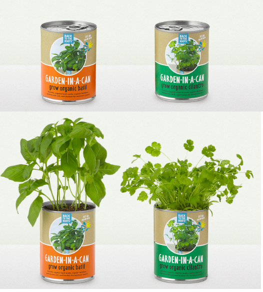 Eco Friendly | Branded Tin Plants - 2 